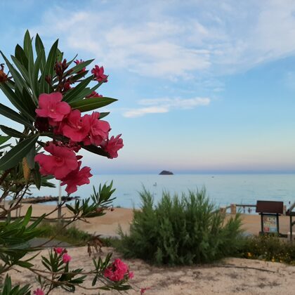 En vooral- de mooie natuur