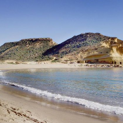 Calypso en les Coccinelles